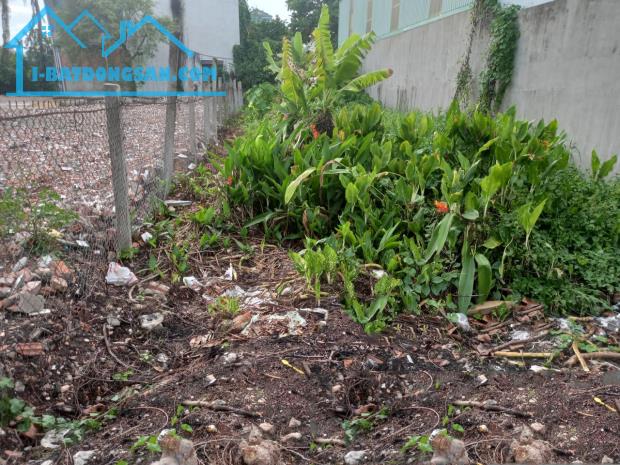 Giảm 1.3 tỷ Đất Vườn Lài Q12, 246m2, 7x35m chỉ 1x tỷ - 3