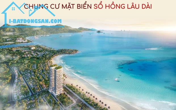 Dự Án Nam ô Diícovery mặt tiền đường Nguyễn Tất Thành - 5