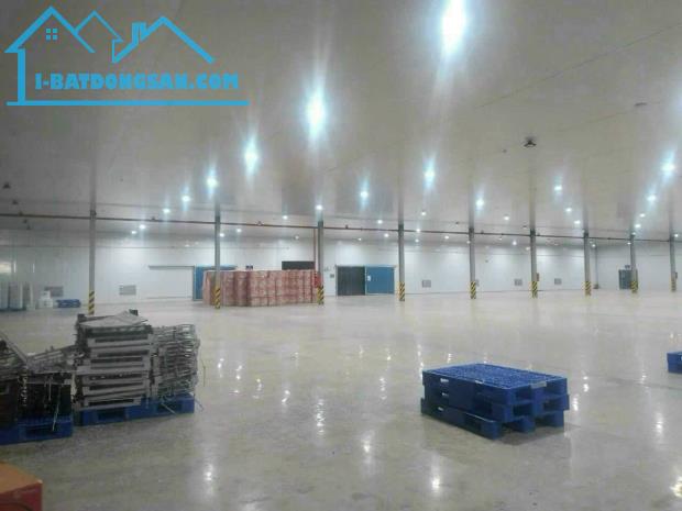 Bán kho xưởng 250 tỷ, 100x100m, mặt tiền đường CN11, phường Tây Thạnh , Quận Tân Phú