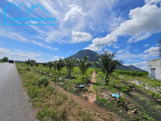 Bán lô đất thổ cư lưng tựa núi mặt hướng sông 200m2, giá 550tr view núi Bà Đen, Tây Ninh - 3