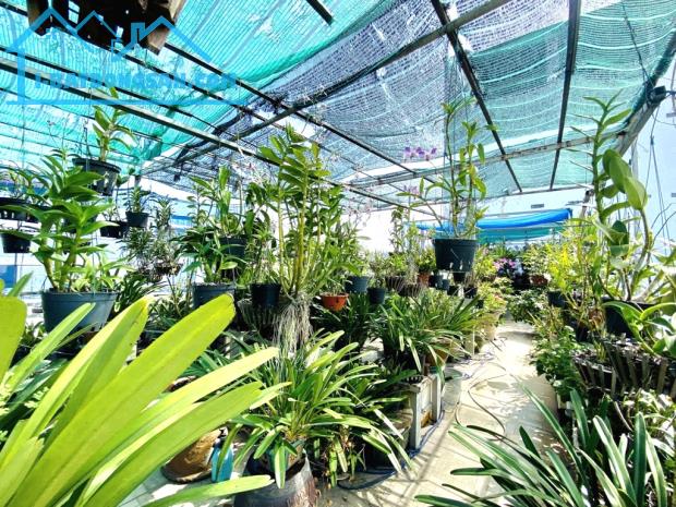BAN NHÀ MẶT TIỀN TÂY THẠNH-120M- 5X23M- 5 TẦNG- ĐƯỜNG 10M- 12.XX TỶ