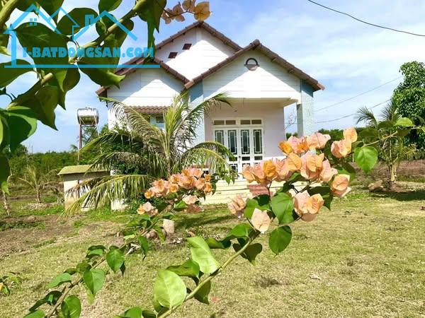 ✨🏡 CƠ HỘI CÓ 1 0 2 - SỞ HỮU ĐẤT & NHÀ ĐẸP VIEW HỒ DAKLAK - HƠN 700 TR - 2