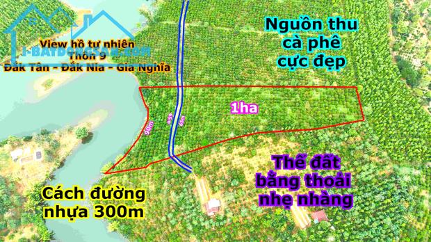 Đất view hồ tự nhiên,nguồn thu mạnh, giá rẻ tại thành phố Gia Nghĩa