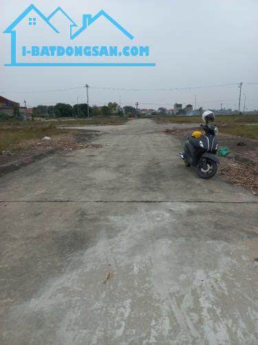 Bán đất đấu giá huyện Phú Xuyên, Hà Nội giá cho nhà đầu tư. - 2