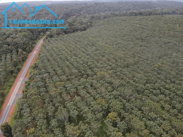 🌽 CẦN BÁN ĐẤT KCN ĐỨC HÒA LONG AN