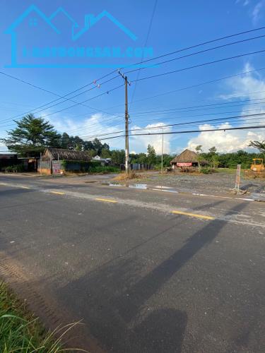 Bán Đất Tại Trảng Bom Sổ Riêng Thổ Cư 100%  125m2 Giá Bằng Lô Đất 100m2