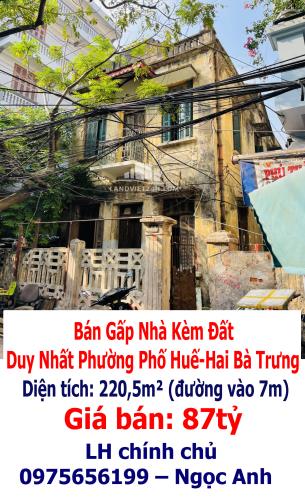 Chính Chủ Bán Gấp Nhà Kèm Đất Duy Nhất Phường Phố Huế-Hai Bà Trưng - 3