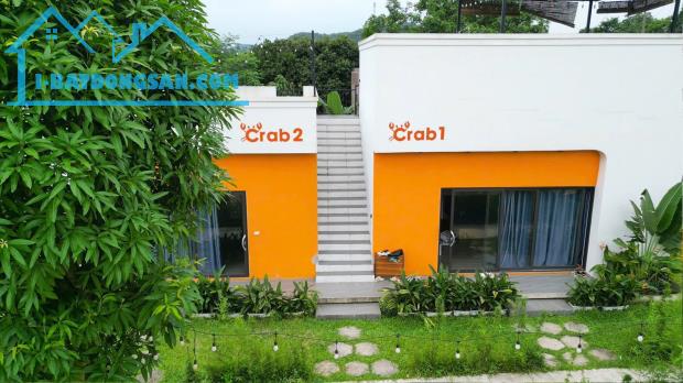 Bán gấp khuôn viên homestay 4000M2_vận hành tốt doanh thu 1tỷ/năm_lương sơn hoà bình_1x tỷ - 5