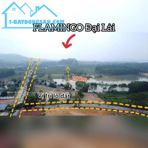 Bán đất thổ cư 7500m2, đường 8m, mặt tiền 200m sát FLAMINGO ĐẠI LẢI, Vĩnh Phúc 7tr/m2