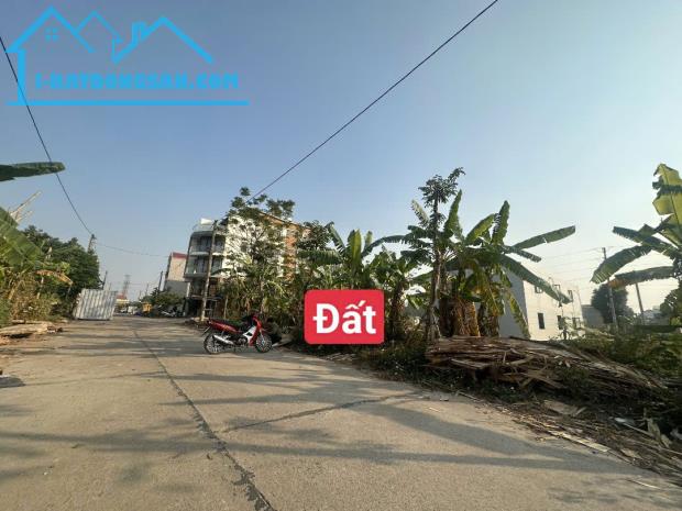 Bán đất Tân Ngọc, Bá Hiến, Bình Xuyên, diện tích: 100m2, giá 2.2x tỷ - 3