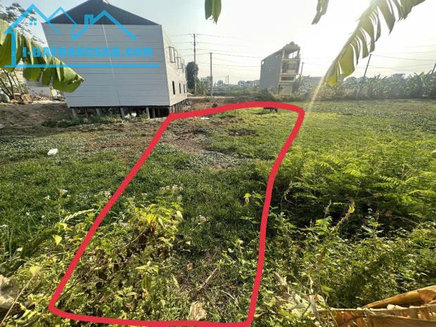 Bán đất Tân Ngọc, Bá Hiến, Bình Xuyên, diện tích: 100m2, giá 2.2x tỷ