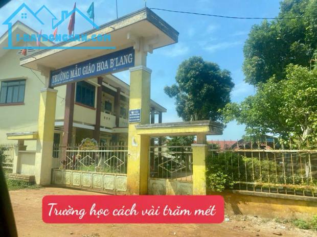 500m2 phủ hồng lên thổ cư được Ea Hồ- Krong Năng giá chỉ 269tr đất trồng cà phê, tiêu tốt - 3