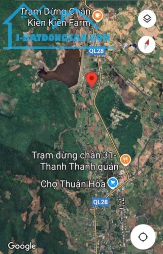 Cần tiền bán gấp-Đất lô 2 QL28-Thuận Hoà-Hàm Thuận Bắc-Bình Thuận-DT 3.100m2CLN