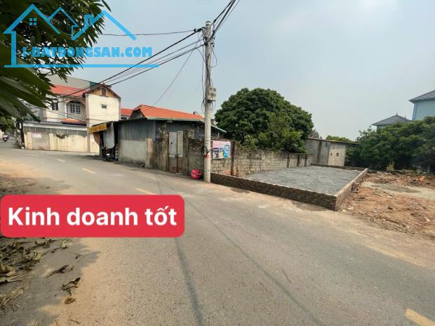 BÁN ĐẤT PHỤNG CHÂU, CHƯƠNG MỸ. TRỤC CHÍNH KINH DOANH ĐƯỜNG 7M DIỆN TÍCH 59M GIÁ 3TY5