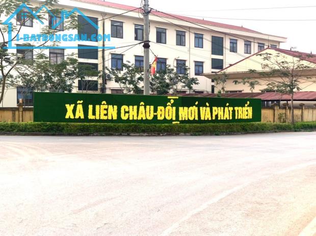 Đất đấu giá Liên Châu - Yên Lạc - Vĩnh Phúc. - 2