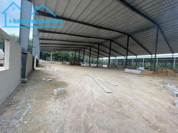 Cho Thuê 6.600m2  Xưởng Mới 100% Ngoài KCN Bàu Bàng Bình Dương Giấy Tờ Đầy Đủ - 3