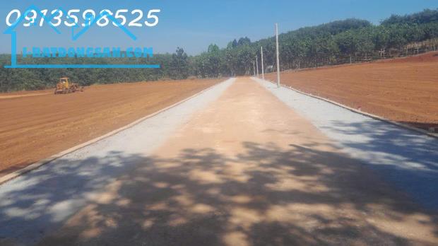 Bán Đất Bình Phước, 250m2, sổ sẵn 100m2 thổ cư, 280tr ngân hàng cho vay 50% - 1