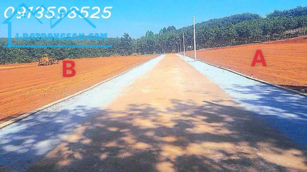 Bán Đất Bình Phước, 250m2, sổ sẵn 100m2 thổ cư, 280tr ngân hàng cho vay 50% - 3