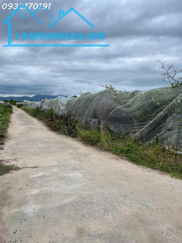 BÁN ĐẤT FULL THỔ - LÔ GÓC -  Ở P. CAM NGHĨA - TP.CAM RANH, - 945M2 - GIÁ HỜ 1.6 TỶ- SINH - 1