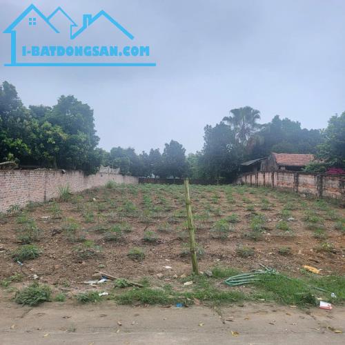 Bán đất xã Tản Lĩnh Ba Vì 301m, gần UBND, TL 414, vuông, oto tránh, chỉ 1.75tỷ - 1