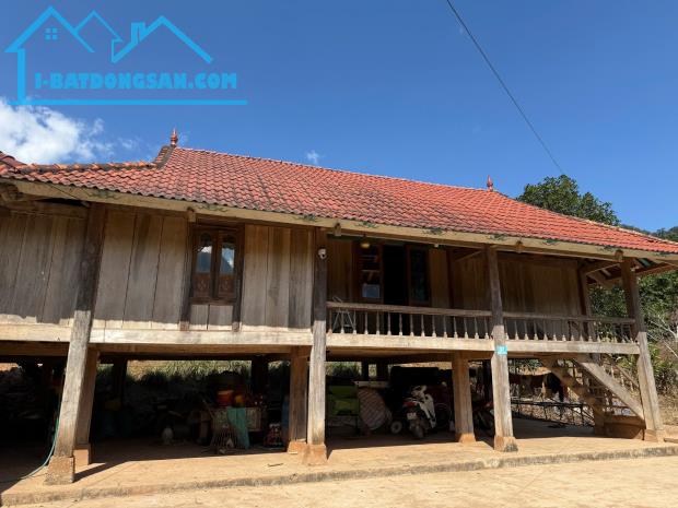 Cần bán gấp lô đất thích hợp làm homestay tại Mường Sang, Mộc Châu - 3