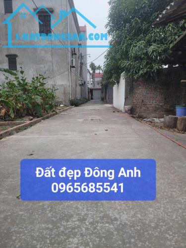 Đất đẹp Đông Anh 50m mặt tiền 5.3m giá 2.x tỷ. ngõ ô tô đậu cửa vài bước ra trục chính. - 1