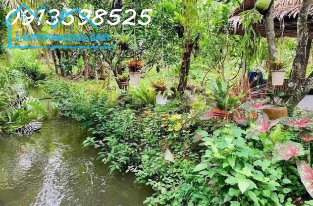 Mua 600 bán rẻ 325tr/1.000m2. LH: 0913.598.525. Chỉ trong tháng này! - 1