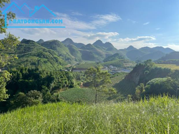 🌿 Siêu phẩm đất nghỉ dưỡng 1,2ha trung tâm thị trấn nông trường Mộc Châu – View đồi chè t - 4