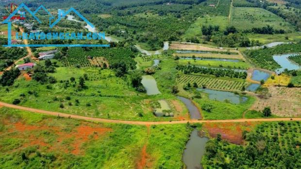 ĐẤT ĐẸP – GIÁ TỐT – CHÍNH CHỦ CẦN BÁN Lô Đất Thuộc Thôn 1 Xã Đắk Wer, Đắk RLấp, Đắk Nông