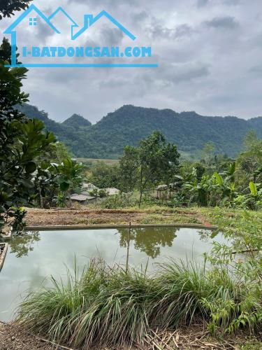 Bán gấp 3900M_400M đất ở đô thị_cách cao tốc 700M_Đà Bắc Hoà Bình_1,x tỷ - 2