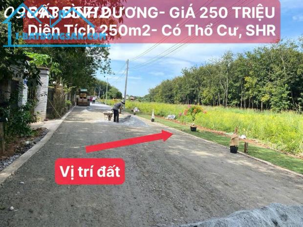 BÁN ĐẤT SỔ SẴN 250M2 TÂN LONG - PHÚ GIÁO - GIÁ 780 TRIỆU - 2