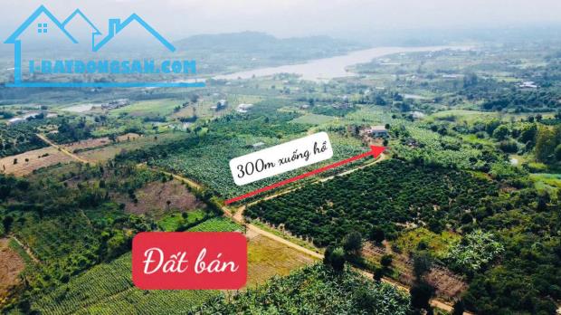 6,8 sào 400m thổ cư tại thôn Thanh Phong xã Xuân Phú huyện Eakar tỉnh DakLak - 3