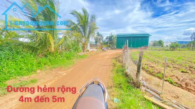 Bán 1 sào hẻm phú hội, đức trọng 980 triệu nguyên lô