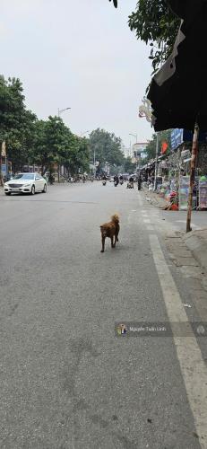 Bán 73m2 Nhà C4 Trung Tâm Uy Nỗ - Giá Tốt, HIẾM - Hàng Xóm Chợ Tó - 3