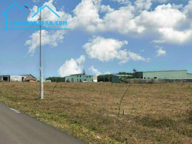 BÁN GẤP LÔ ĐẤT NGAY NHÁNH ĐƯỜNG LỚN 32M GIÁ 290 TRIỆU 200M2 THỔ CƯ NGAY KHU DÂN CƯ - 5