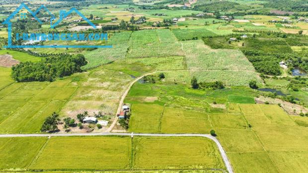 Bán đất Ninh Sơn có QH thổ cư giá chỉ 200k/m2 bám suối đẹp - 2