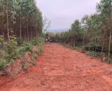 Bán lô đất 2345,7m2 tại xã Đan Hội, Lục Nam, Bắc Giang gần Hồ Thanh Long giá chỉ 650k/m2