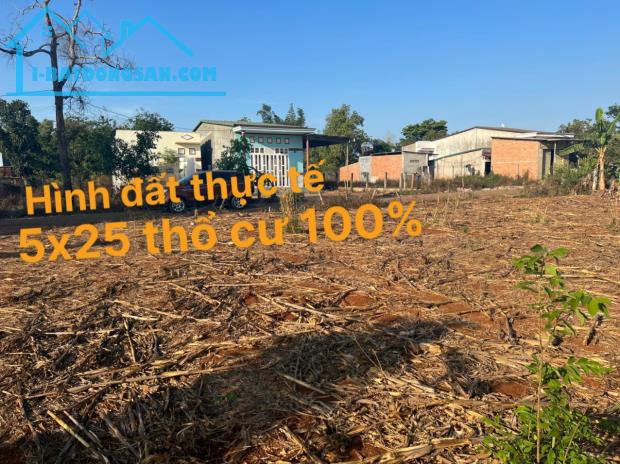 Bán lô đất 125m2 fun thổ cư ở Tp Buôn Mê Thuột giá 4xx triệu. - 4