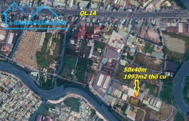 QUẬN 12, ĐẤT THỔ CƯ, THỚI AN 17A, TS 50x40m 1993m2, CHỈ 66 TỶ - 1