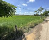Bán đất lúa 1000m mặt tiền Nguyễn Văn Trỗi, giáp ranh thị trấn Cần Đước 1tỷ750 thương lượn