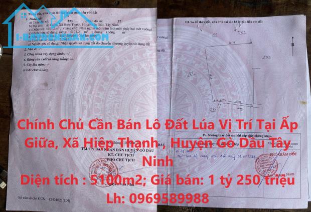 Chính Chủ Cần Bán Lô Đất Lúa Vị Trí Tại Huyện Gò Dầu, Tỉnh Tây Ninh