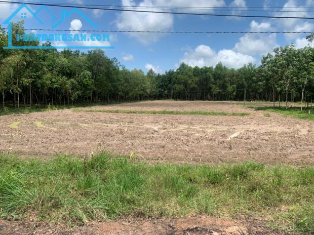 Bán gấp lô đất đường nhựa xe hơi Long Tân, X.Long Giang, Bến Cầu, Tây Ninh - 3