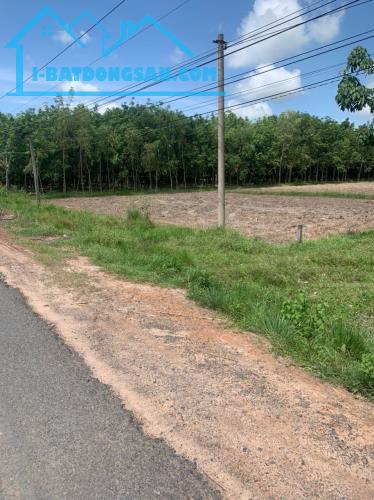 Bán gấp lô đất đường nhựa xe hơi Long Tân, X.Long Giang, Bến Cầu, Tây Ninh - 1