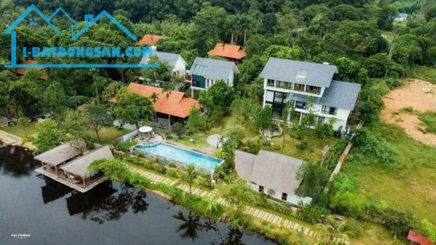 Cần bán Villa 3500m2 tai Đại Lải, Ngọc Thanh, TP Phúc Yên - 3