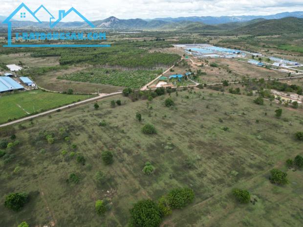 Bán đất Sông Lũy, Bắc Bình, Bình Thuận: 400.000m2( 40 ha), giá 60 tỷ. - 2