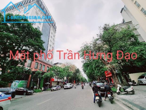 Bán nhà mặt phố Trần Hưng Đạo phố hai chiều vỉ hè rộng kinh doanh sầm uất 1306 m2 full thổ - 4