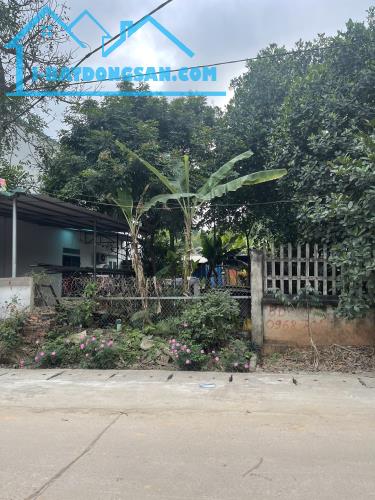Bán đất giá rẻ full thổ cư tại thôn Phú Ninh, Thanh Vân, Tam Dương, Vĩnh Phúc.