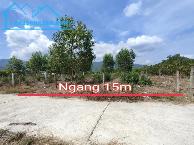 Bán đất vườn Diên Tân quy hoạch full thổ cư sát bên Hương Lộ 62 - đường bê tông 5m - 4