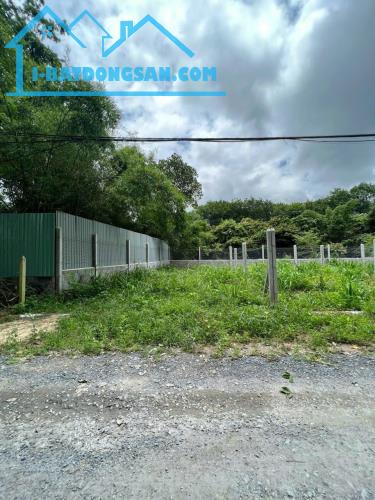 KẸT TIỀN SANG LỖ 320M2 ĐẤT THỔ CƯ SHR MT TỈNH LỘ CẠNH CHỢ DÂN ĐÔNG GIÁ 260 TRIỆU - 3