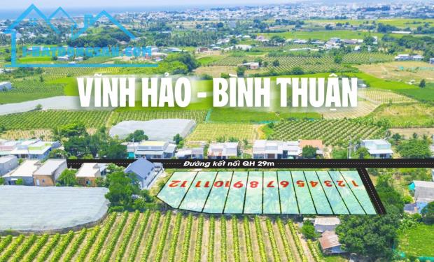 chỉ 800tr sở hữu ngay Đất Biển Bình Thuận khu vực nhiều homestay, khu du lịch nổi tiếng - 2
